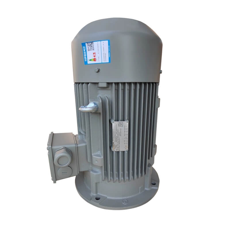 Siemens Motor