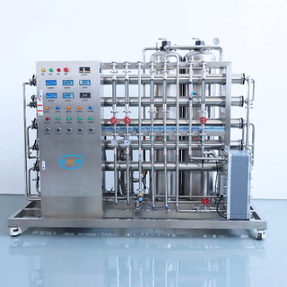 Pharmaceutical 1000L 2 Stages RO Water Treatment Plant With EDI