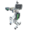 Industrial UV Laser Coding Machine 